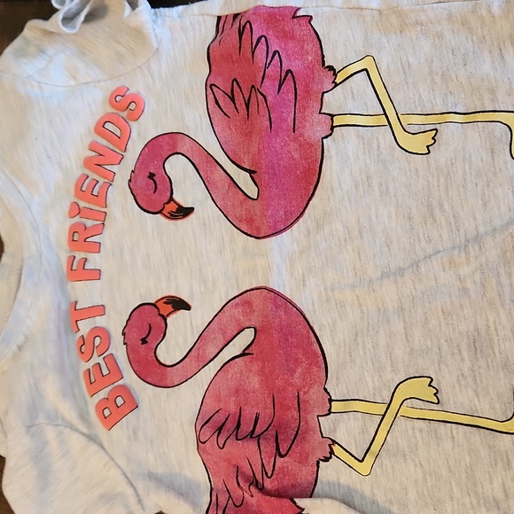 Garanimals Flamingo Best Friends short sleeve crew neck gray toddler t-shirt - Picture 2 of 4
